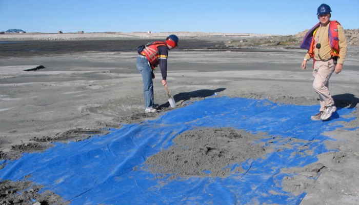 Carbonated tailings